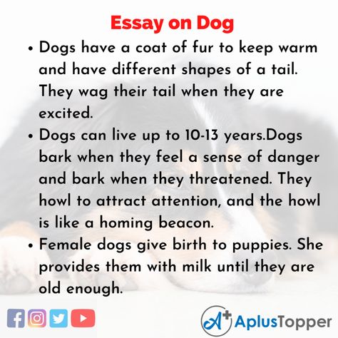 Dog Essay, Essay Writing Examples, English For Students, Writing Examples, Scientific Name, Essay Questions, Short Essay, Street Dogs, Dog Help