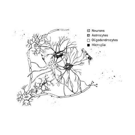 Brain Cell Tattoo, Within Cells Interlinked Tattoo, Cell Drawing Art, Synapse Tattoo, Cells Illustration, Neuron Drawing, Rose Rib Tattoos, Air Tattoo, Brain Tattoo