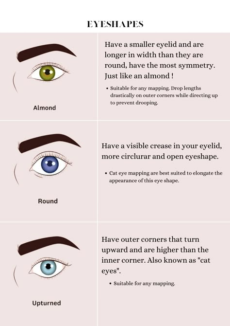 Lash Tech Beginner Tips, Good Editing Apps, Eyebrow Arching, Lash Practice, Eyelash Mapping, Lash Manual, Eyebrow Makeup Techniques, Rich Off Lashes, Lash Tutorial