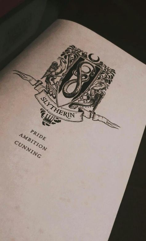 Hogwarts Slytherin Wallpaper, Black And White Slytherin Aesthetic, Dark Academia Aesthetic Slytherin, Slytherin Book Aesthetic, Slytherin Aesthetic Tattoo, Slytherincore Wallpaper, Hogwarts Aesthetic Wallpaper Dark, Dark Academia Ig Story, Aesthetic Harry Potter Slytherin