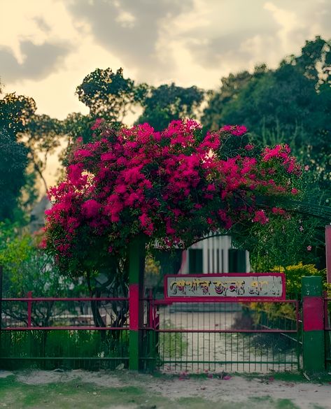 nature_wallpaper_birds_joinwdelower Hip Hop Wallpaper, Garden Gate Design, New Background, Nature Photography Flowers, Nature Background Images, Green Screen Background Images, Dslr Background, Sky Photography Nature, Blue Background Images