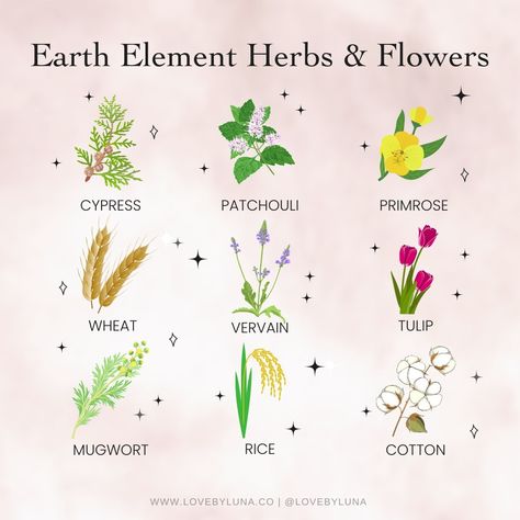 Earth Element Herbs, Birth Stones, Good Dreams, Magickal Herbs, Moon Spells, Green Witchcraft, Earth Element, Elemental Magic, Herbs And Flowers