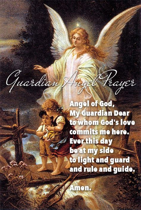 Angel Of God Prayer, Guardian Angel Images, Bedtime Prayers For Kids, Guardian Angel Prayer, Guardian Angel Pictures, Angel Of God, Guardian Angels Prayer, Archangel Prayers, Angel Quotes