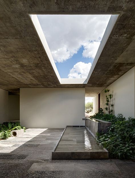 Arquitectura Corporativa: Planta hidropónica Next | Architectural Digest Architecture Courtyard, Modern Courtyard, Hydroponic Plants, Empty Room, Courtyard House, Modern Architecture House, Design Exterior, Minimalist Architecture, Brutalism