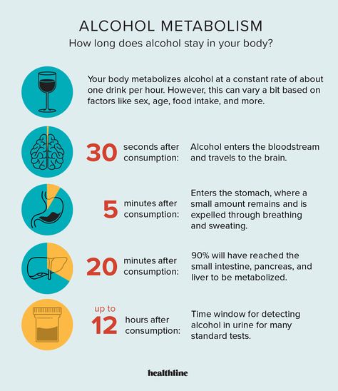 How Long Does Alcohol Stay in Your System? How Long Does Alcohol Stay In System, Alcohol Facts, Abdominal Pain Relief, Human Digestive System, Alcohol Poisoning, 8th Sign, Diy Backdrop, Nutrition Education, Before Bed