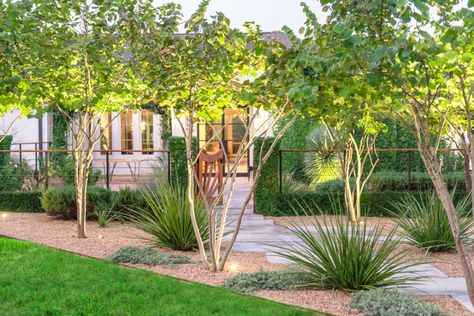 Texas Hill Country Landscaping, Lakeside Garden, Yucca Rostrata, Bali Garden, Roof Gardens, Evergreen Hedge, Eden Garden, Austin Style, Horseshoe Bay