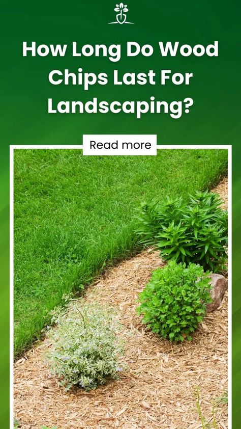 ​​﻿​﻿How Long Do Wood Chips Last For Landscaping? Cedar Wood Chips Landscaping, Landscaping With Wood Chips, Cedar Chips Landscaping, Woodchips Garden Ideas, Wood Chips Landscaping Ideas, Wood Chip Garden, Wood Chip Landscaping, Wood Chips Landscaping, Wood Chips Garden