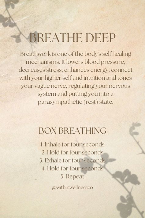 Unlock the Power of Breathwork for Ultimate Wellbeing! 🌬️😌 Harness the Benefits of Deep Breathing Techniques! 🧘‍♀️ Reduce Stress, Improve Focus, and Enhance Mindfulness! 🌈🌿 #Breathwork #Hydration #HealthTips #HealthAndWellness #HealthyLiving #WellnessJourney #SelfCare #MindBodySoul #HolisticHealth #CleanEating #NaturalRemedies #YogaEveryDay #NutritionTips #HealthyHabits #SelfLove #MindfulLiving #WellbeingGoals #HealthyLifestyle #SelfImprovement @withinwellnessco for more Meditation Methods, Create Your Dream Life, Meditation Scripts, Yoga Breathing, Yoga Inspo, Deep Breathing, Yoga Mindfulness, Face Wrinkles, Yoga Nidra