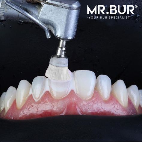 Dentist Photography, Dental Instagram, Dental Animation, Dental Burs, Dental Advertising, Dental Education, Teeth Cleaning, Dental Care, Contact Us