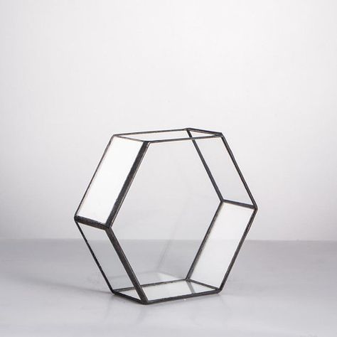 Glass Hexagon Geometric Terrarium Indoor Planter for Bonsai Terrarium, Garden Bonsai, Geometric Terrarium, Glass Cube, Indoor Planter, Small Potted Plants, Glass Terrarium, Bonsai Garden, Bonsai Pots