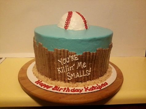 Sandlot Birthday Cake, Sandlot Cake, Sandlot Party, Sandlot Birthday, Movie Cakes, Bouncy House, Boy Birthday Party Themes, Baseball Birthday Party, 40th Birthday Cakes