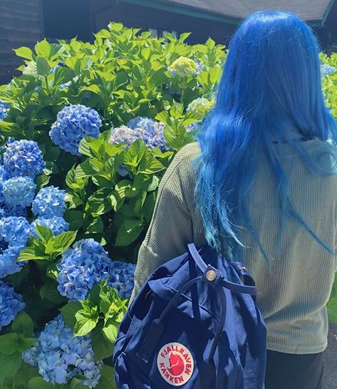 Blueberry Muffin Aesthetic, Muffin Aesthetic, Blueberry Muffin Strawberry Shortcake, Blueberry Girl, Nefertari Vivi, Light Blue Hair, Blue Haired Girl, Creative Hair Color, Blueberry Muffin