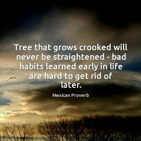 Tree that grows crooked will never be straightened - bad habits learned early in life are hard to get rid of later. Mexican proverb. Mexican Proverbs Quotes, Life Proverbs So True, Breaking Old Habits Quotes, Old Proverbs, Mexican Proverb, Proverbs 4:7 Wisdom, Ancient Proverbs, Mexican Quotes, Stoicism Quotes