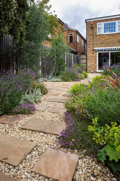 Stepping Stones In Gravel, Gravel Path With Stepping Stones, Gravel Planting, Gravel Garden Path, Mediterranean Planting, Washington Landscape, Mediterranean Backyard, Gravel Gardens, Rural Garden