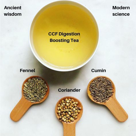 🔥CCF Digestion Boosting Tea🔥 — The 5000 year old ancient Indian medical system known as Ayurveda prescribes CCF tea to boost digestive fire… Ccf Tea, Fennel Plant, Tea Therapy, Digestive Health Improve, Teas For Headaches, Ayurveda Pitta, Holistic Meals, Tea For Digestion, Pregnancy Tea