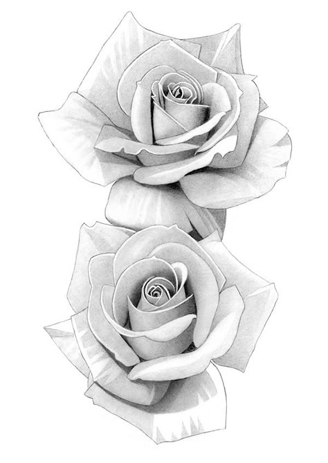 Rose Flower Sketch, Rose Flower Tattoos, Rose Drawing Tattoo, Realistic Rose, Flower Art Drawing, Roses Flower, Botanical Tattoo, Floral Tattoo Design, Rose Tattoo Design