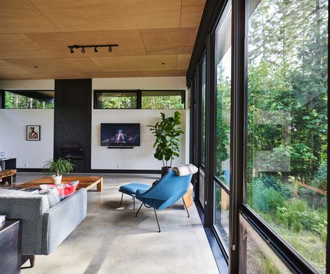 Dwell - Construction Diary: Building a Forest Haven With Olson Kundig Architects (Part Two) Industrial Track Lighting, Plywood Ceiling, Olson Kundig, Mid Century Modern Lighting, Wooden Ceilings, Concrete Floor, Seattle Washington, Concrete Floors, Living Room Lighting