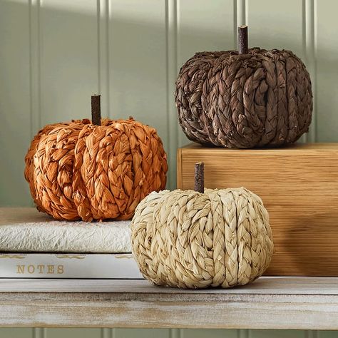 Set of 3 Rattan Pumpkins Pumpkins Designs, Rattan Pumpkins, Farmhouse Pumpkins, Floating Led Candles, Resin Pumpkin, Diy Pumpkins, Spider Pumpkin, Cozy Thanksgiving, Pumpkin Images