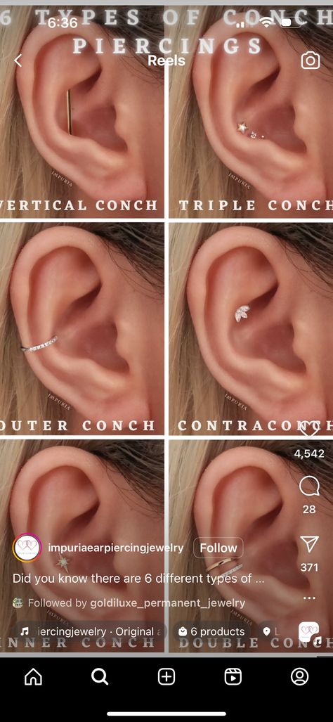 Piercing Diagram, Ear Piercing Diagram, Ear Piercings Placement Chart, Piercing Placement, Piercings Chart, Ear Piercings Chart, Piercing Chart, Ear Piercing, Earings Piercings