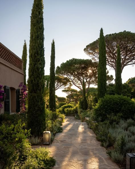 India Mahdavi, Italian Garden, Mediterranean Garden, South Of France, Walkway, Landscape Architecture, Tuscany, Future House, Garden Landscaping