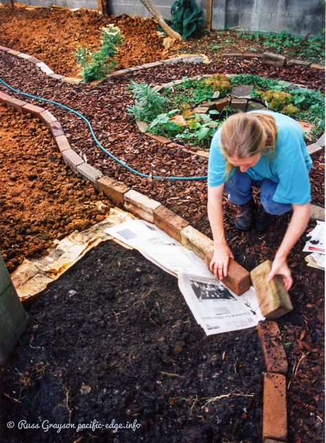 Vegetable Garden Pathway, Small Permaculture Garden Design, Permaculture Small Garden, Permaculture Garden Design, Urban Vegetable Garden, Urban Permaculture, Hobbit Garden, Desert Gardening, Permaculture Garden