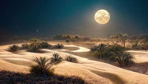 Photo night desert with an oasis under t... | Premium Photo #Freepik #photo #night-illustration #parallax-background #desert-night #night-scene Nighttime Desert Aesthetic, Desert At Night, Scene Pictures, Desert Background, Night Mood, Desert Moon, Desert Night, Desert Aesthetic, Gallery Opening