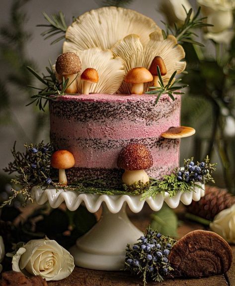 @ministylemag on Instagram: “Swooning over @mustloveherbs dreamy mushroom cake 🌿 • #mushrooms #cakesofinstagram #bakersofinstagram #cakestagram #mushroomcake…” Rose Frosting, Love Herbs, Mushroom Chocolate, Mushroom Cake, Garden Cake, Mini Torte, Woodland Cake, Garden Cakes, Food Mood