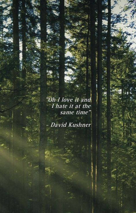 David Kushner Lyrics Wallpaper, Daylight Song David Kushner, Daylight David Kushner Spotify, Daylight David Kushner Aesthetic, David Kushner Quotes, David Kushner Aesthetic Wallpaper, Daylight David Kushner Wallpaper, David Kushner Poster, Daylight David Kushner Lyrics