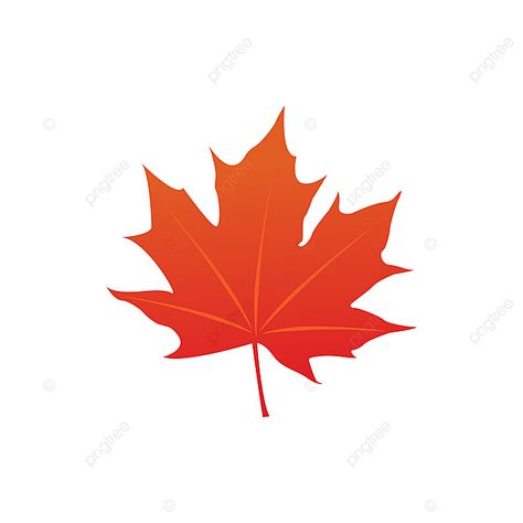 Maple Leaf Logo Design, Maple Leaf Vector, Maple Leaf Clipart, Country Silhouette, Maple Logo, Canadian Leaf, Canada Leaf, Icons Template, Maple Leaf Logo