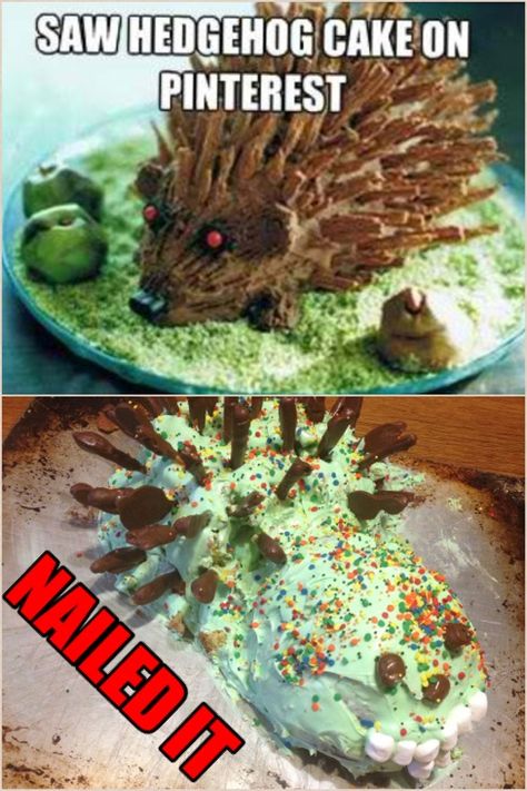 Hedgehog cake on Pinterest. Pinterest fail. Nail Memes, Baking Fails, Cake Fails, Hedgehog Cake, Fail Nails, Funny People Pictures, Expectation Vs Reality, Epic Fails Funny, Diy Baking