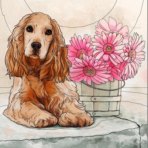 Cocker Spaniel Drawing, Cooker Spaniel, Spaniel Drawing, Cocker Spaniel Art, Cute Cocker Spaniel, Cute Dog Drawing, Spaniel Art, American Cocker Spaniel, Spaniel Puppies