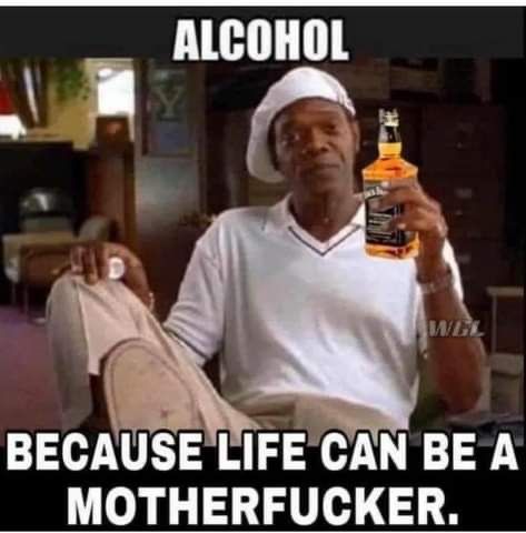 Alcohol Memes, Alcohol Funny, Alcohol Humor, Drinking Alcohol, Drinking Quotes, Funny As Hell, People Laughing, Meme Funny, Twisted Humor