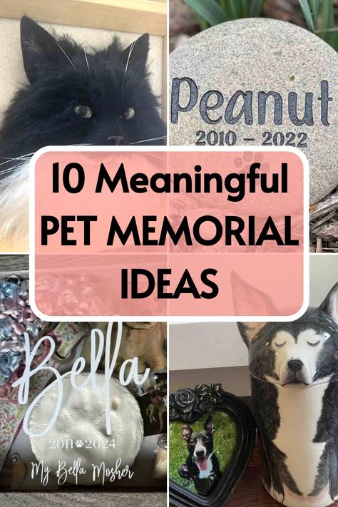 Explore a compilation of 32 distinctive ways to pay tribute and cherish the memory of your treasured four-legged companions. Enhance your pet memorial with these creative and heartfelt ideas. Pet Tombstone Ideas Diy, Diy Dog Memorial Ideas, Diy Pet Memorial Ideas, Pet Memorial Diy, Free Desktop Wallpaper Backgrounds, Pet Memorial Ideas, Personalized Memorial Stones, Memorial Ideas, Easy Pets