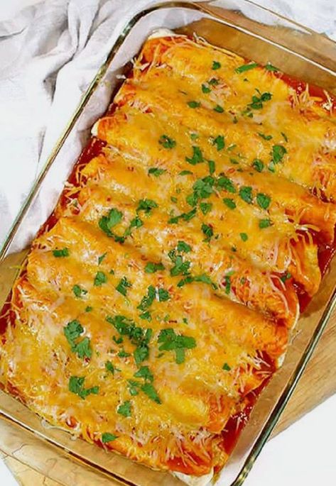 Chicken Sour Cream Enchiladas, Chicken Sour Cream, Easy Chicken Enchilada Recipe, Sour Cream Enchiladas, Cheesy Chicken Enchiladas, Easy Enchiladas, Chicken Enchiladas Easy, Sour Cream Chicken, Enchilada Recipe