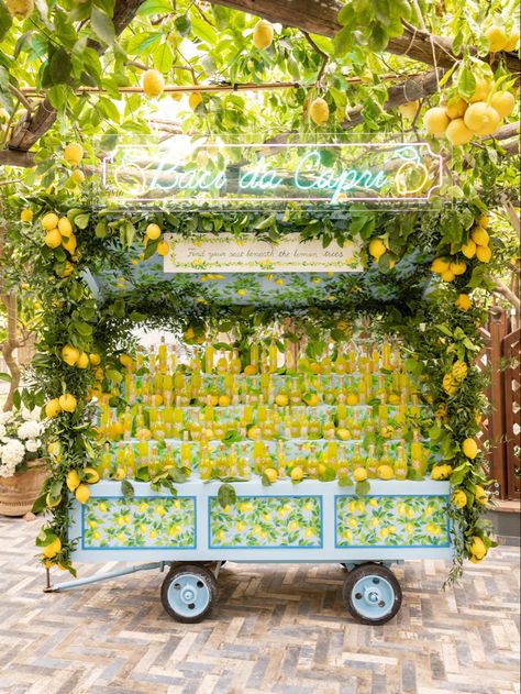 Custom Awnings, Tree Restaurant, Amalfi Coast Wedding, Lemon Decor, David Austin, Salou, Worth The Wait, Welcome To The Party, Coast Wedding