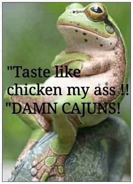 Memes Facebook, Louisiana Bayou, Louisiana History, Louisiana Homes, Geek Out, Funny Me, Make You Smile, Mardi Gras, Louisiana