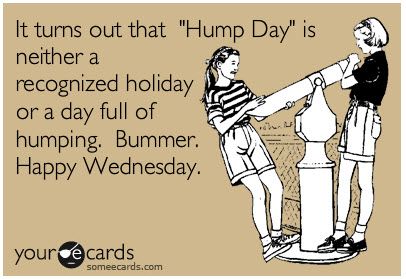 It turns out that "Hump Day" is neither a recognized holiday or a day full of humping.  Bummer.  Happy Wednesday. Veggie Couscous, Hump Day Quotes, Hump Day Humor, Wednesday Humor, Weekday Quotes, Wednesday Quotes, What Day Is It, Hump Day, E Card