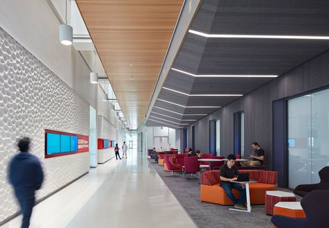 https://archello.com/story/118250/attachments/photos-videos/6 High School Corridor, Classroom Aesthetic, Interior Hallway, Sheet Curtains, Gate City, Armstrong Ceiling, Corridor Lighting, Solar Shades, Point Perspective