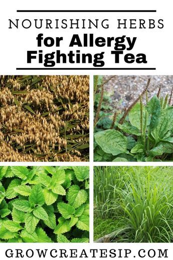 Get information on Nourishing Herbs for Allergy Fighting Tea. These are the herbs that give our body a bit more nutrition or support some of the primary herbs in the blend and help them to do their job better. Oats, in general, are nourishing for the nervous system. Oat straw is a great source of calcium, which helps to grow strong bones, hair, and nails. It helps to strengthen your immunity and helps to build up your energy. Oat straw is high in many vitamins and minerals, including vitamins A, D, E, magnesium, zinc, and silicon, making them an excellent nourishing herb for this part of our recipe. Herbs For Allergies, Oat Straw, How To Boost Your Immune System, Allergy Season, Herbal Medicine Recipes, Source Of Calcium, More Nutrition, Itchy Eyes, Health And Fitness Magazine