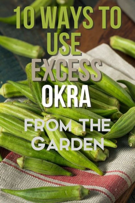 When the summer gets hot and humid in the south, the okra plants wake up and put out tons of excess okra at once. What can you do with okra that you can’t eat right now? #excessproduce #vegetablegardening #okra Dried Okra Recipe, Boiled Okra Recipe, Oven Roasted Okra, Grow Okra, Okra Chips, Sauteed Okra, Grilled Okra, Growing Okra, Baked Okra