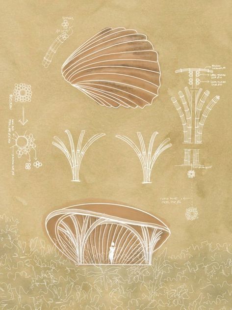 Sea Shells Concept Architecture, Shell Design Concept Architecture, Sea Shell Architecture, Round House Interior Design, Form Exploration Architecture, Wave Inspired Architecture, Pavillion Design Concept, Water Inspired Design, Natural Architecture Design