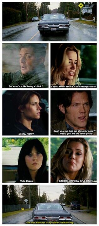 Headcannon: Sam and Dean meet their "female counterparts". Hilarity ensues. #Supernatural #Funny Genderbent Supernatural, Supernatural Genderbend, Supernatural Crossover, Supernatural Fanart, Impala 67, Funny Supernatural, Dean And Cas, Sam And Dean, Supernatural Destiel