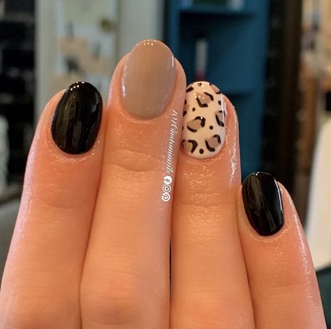 Black And Leopard Print Nails, Cute Cheetah Print Nails, Simple Cheetah Nails, Neutral Leopard Nails, Cheetah Nails Short, Fall Leopard Print Nails, Leopard Print Nails Black, Black Cheetah Nails, Leopard Print Nails Diy