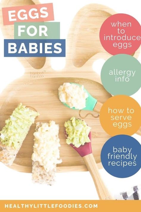 Egg Puree For Baby, Meat For Babies, Introducing Baby Food, Baby Food Allergies, Baby Food Combinations, Scrambled Eggs With Spinach, Egg Benefits, Soft Egg, Prepared Eggs