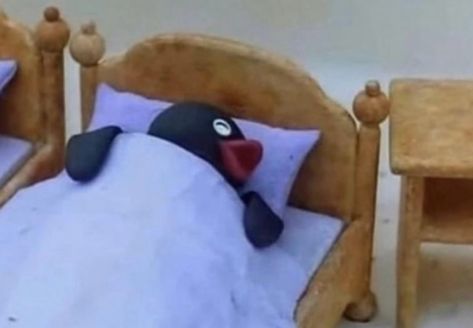 Pingu Memes, Pingu Pingu, Sleep Meme, Image Meme, Music Cover Photos, Cartoon Memes, Music Covers, Funny Reaction Pictures, Cute Memes