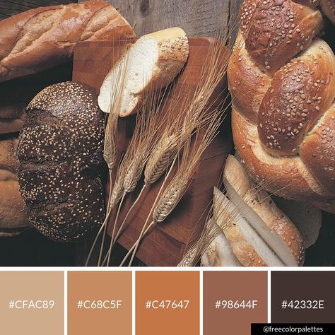 Bread | Food Bloggers | Warm | Brown |Color Palette Inspiration. | Digital Art Palette And Brand Color Palette. Warm Brown Color Palette, Flat Color Palette, Color Palette Inspiration, Earthy Home, Printable Christmas Coloring Pages, Bread Food, Brown Color Palette, Palette Inspiration, Bakery Logo