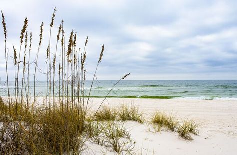 17 Top Gulf Coast Beaches to Visit Mustang Island Texas, Biloxi Lighthouse, Outdoor Gathering Area, Mississippi Gulf Coast, Siesta Key Florida, Rv Resorts, Gulf Coast Beaches, Beaches To Visit, Mustang Island