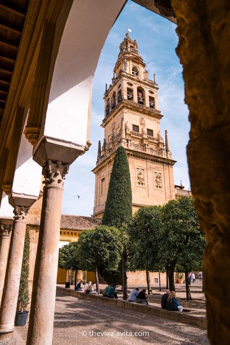 Get insider advice on visiting the Mezequita of Cordoba, one of the main attractions in Cordoba, Spain. Plan your visit with info on where to get tickets, travel tips, and what to see inside. Save this to your travel board! Spain Mosque, Spain Cordoba, Cordoba Mosque, Great Mosque Of Córdoba, Andalusia Travel, Cordoba Spain, Spain Aesthetic, Southern Spain, Cadiz