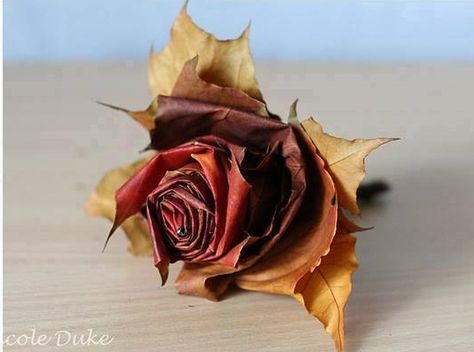 Flowers made out of leaves. Would be really cool and unique for an Autumn wedding Autumn Leaves Craft, Tissue Paper Flowers Diy, Paper Flower Decor, Leaf Crafts, Fall Decoration, Tissue Paper Flowers, Rose Decor, Fall Crafts Diy, Fabulous Fall