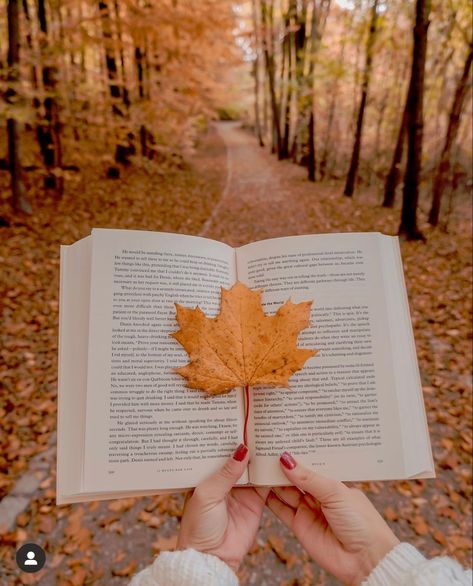 Bookstagram Profile Picture Ideas, Fall Bookstagram Ideas, Author Aesthetic Photography, Books Photography, Book Photoshoot, Autumn Books, Business Card Icons, Book Photography Instagram, Fall Images